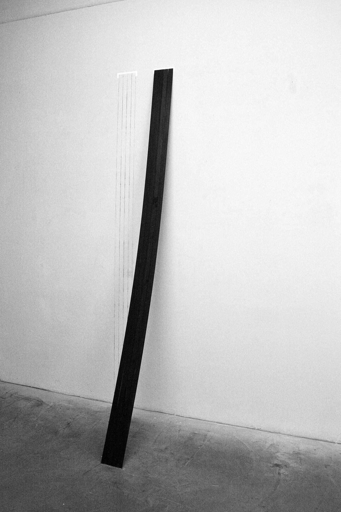 SERJ - Mira del distacco 2 - 2013